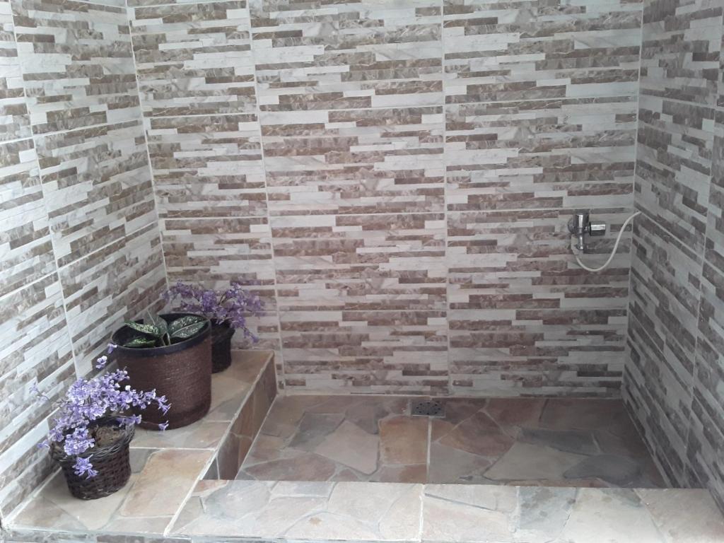  Rosas dos Ventos Suites
