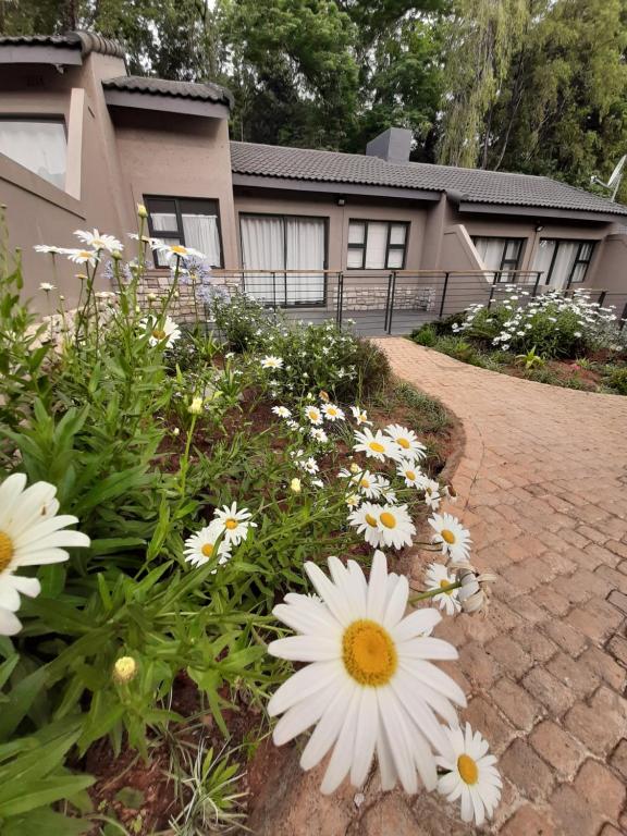 a garden of white flowers in front of a house at Studio 3 The Studios at Churchill in Hillcrest