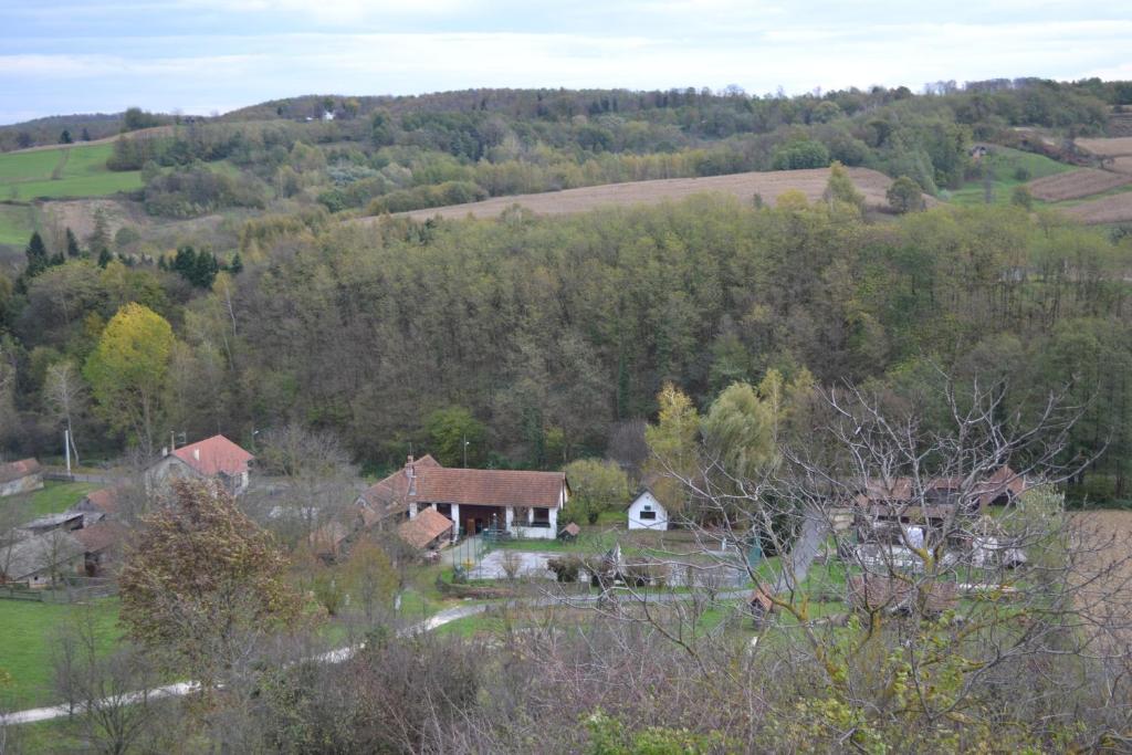 una casa en medio de un campo con árboles en Guest House Sunčano Selo, en Jagnjedovec