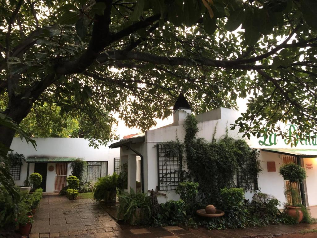 a white building with a tree in the foreground at La Bella B&B Under The Fig Tree in Bela-Bela