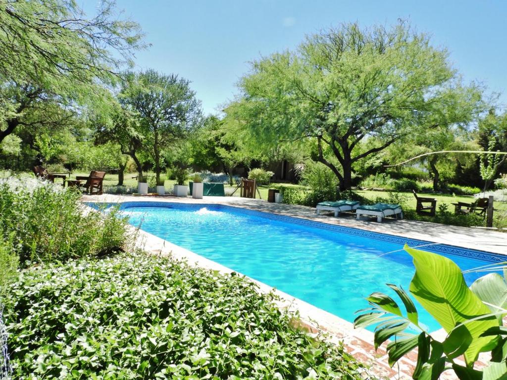 una piscina en un patio con árboles en Posada Terracota en Nono