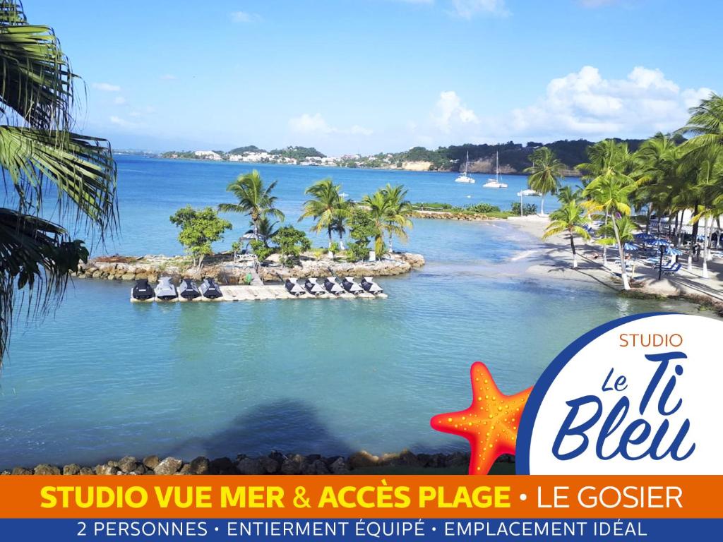 une plage avec une étoile de mer dans l'eau dans l'établissement Ti Bleu • Studio vue mer & accès plage, au Gosier