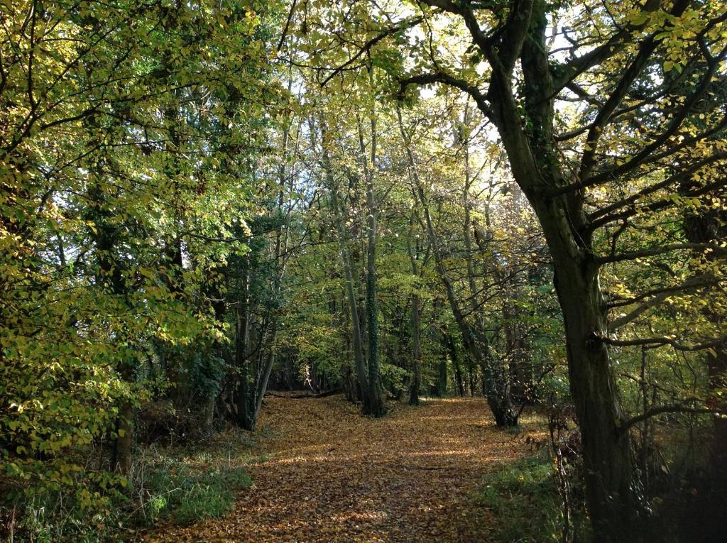 Sweetings Wood Glamping