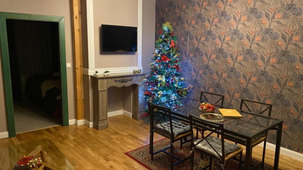 TV a/nebo společenská místnost v ubytování Hotel Telč