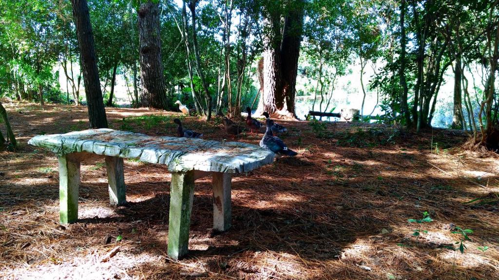  Choupana das Araucárias