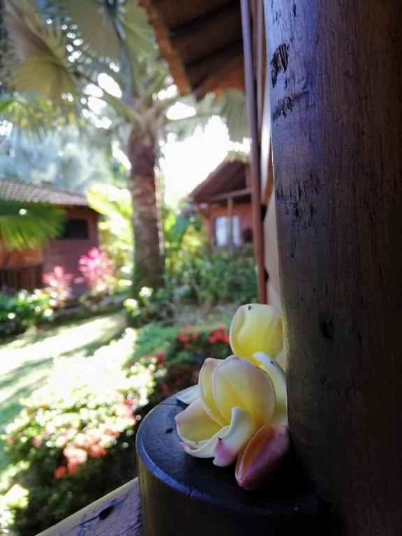 Zahrada ubytování Casa Marcellino Lodge