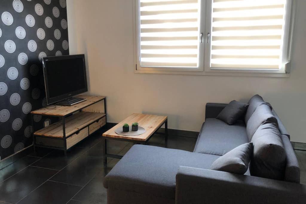 F2 au calme, proche gare, Center Parc, Sainte Croix - Housity