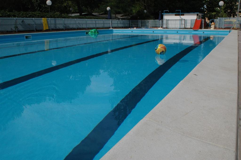 a swimming pool with a dog in the water at Villaggio Accademia in Cesenatico