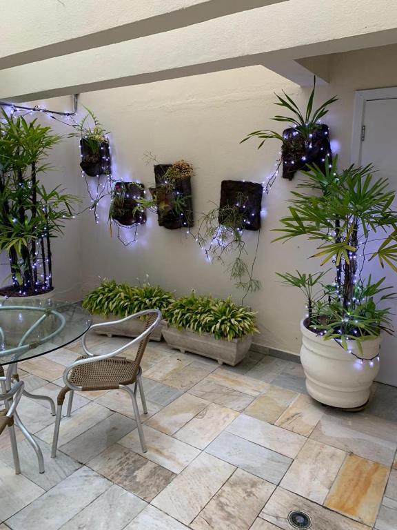  Flat Rua Bela Cintra 1356
