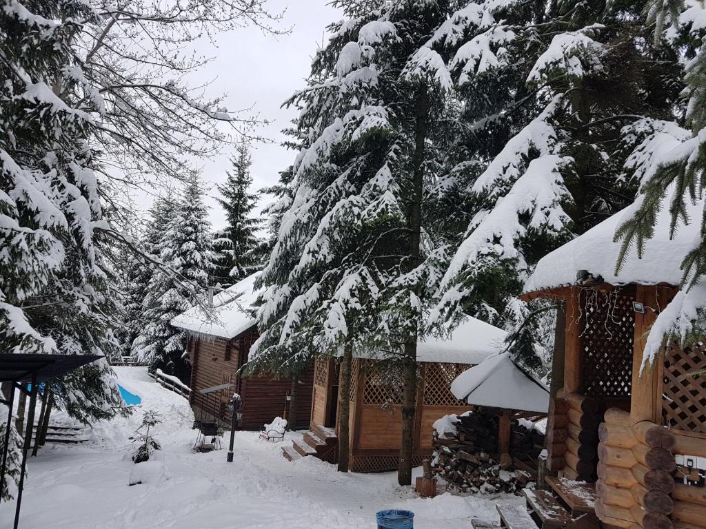 Gostynniy Dvir Коттеджи - Chalet De Deux Chambres