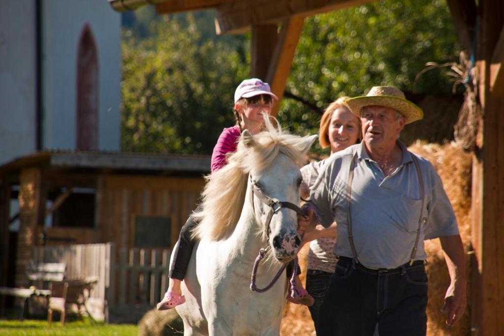 Hosté ubytování Schullerhof
