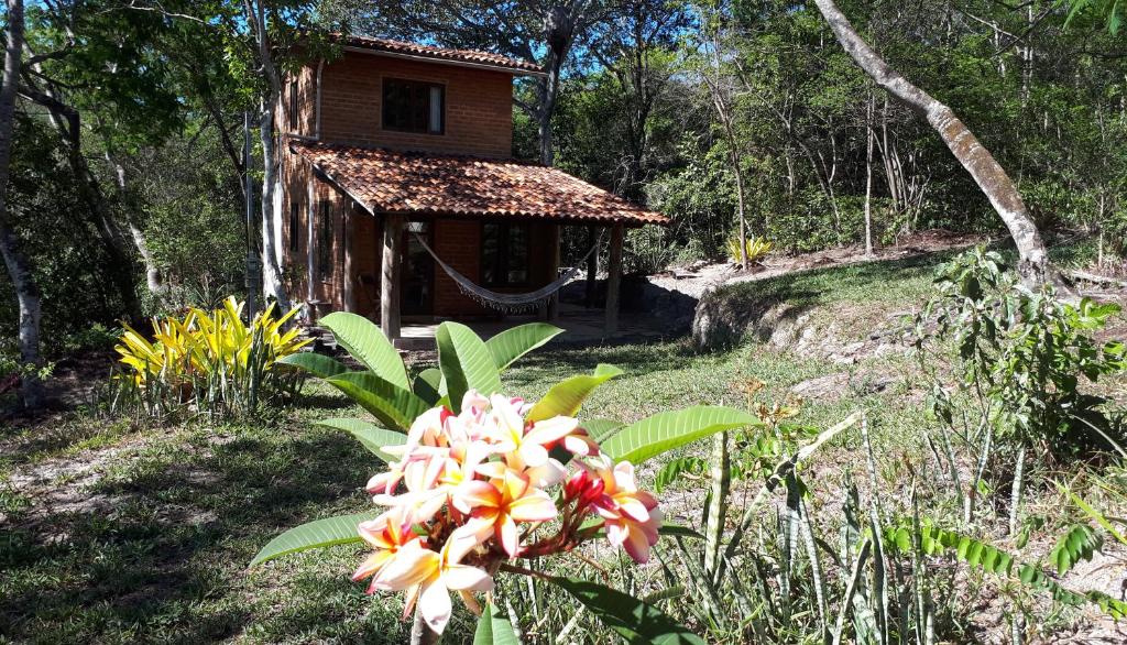  Casa Studio