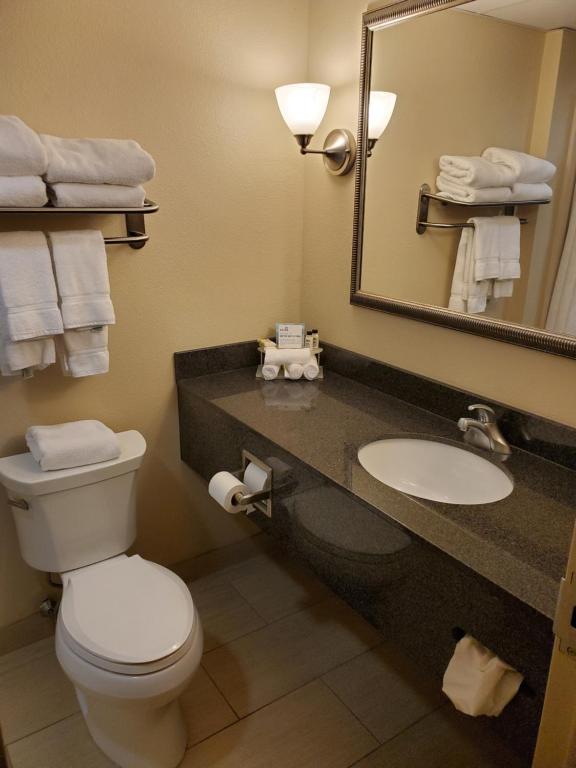 Holiday Inn Express Milford by IHG - Quarto Standard Com 2 Camas Queen-size