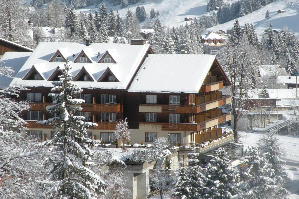 アデルボーデンにあるHotel Steinmattliの雪山のホテル