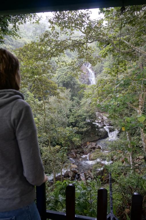 Sinharaja Kurulu Ella Eco Resort - 10