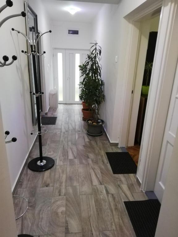 Fotografia z galérie ubytovania Örökzöld Apartman Szeged v Segedíne