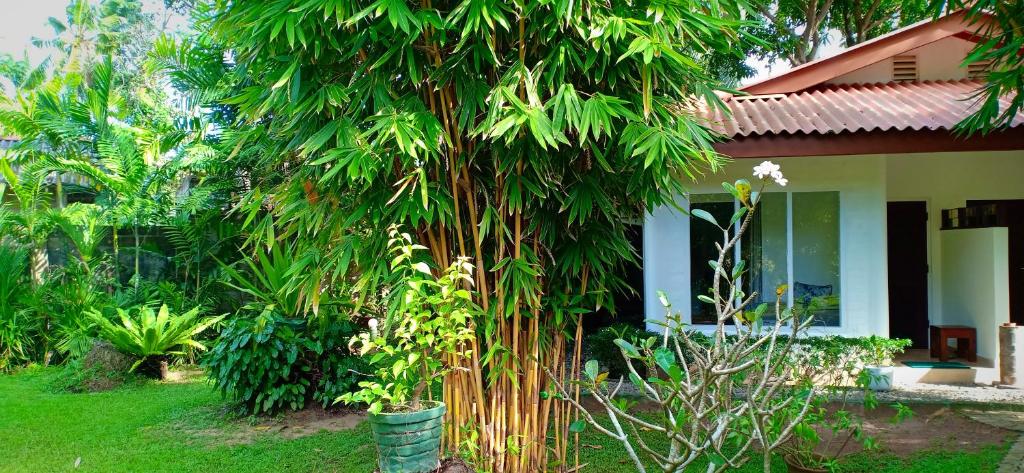 Mango House Japanese Guest House - 2