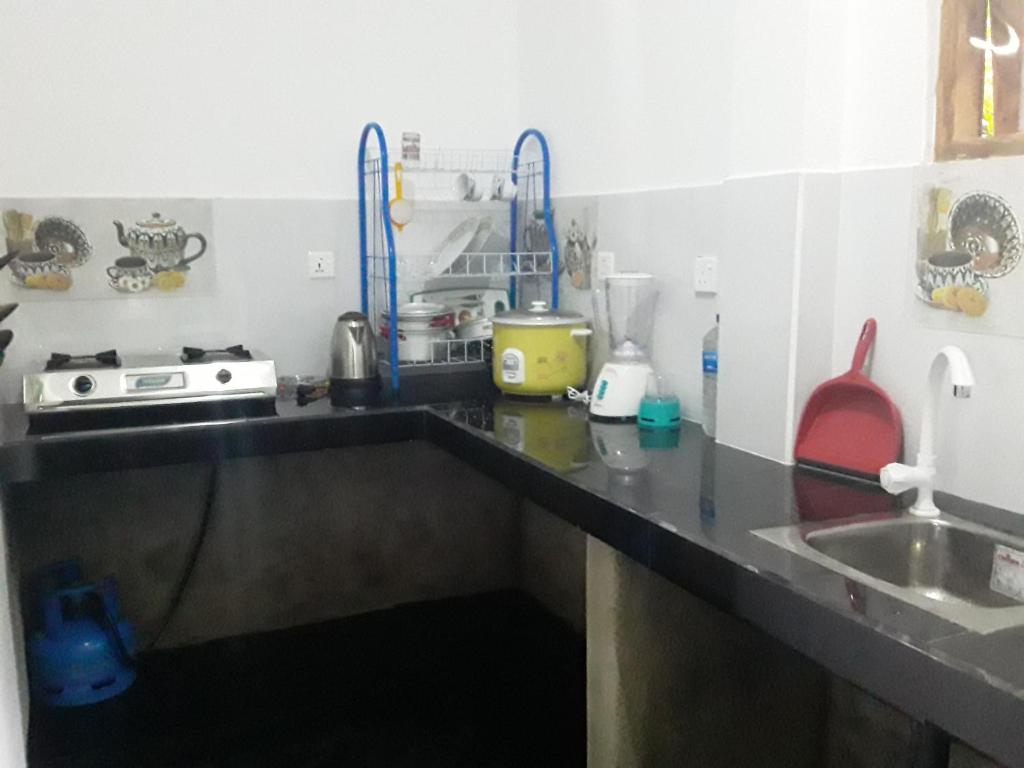 Kuchyň nebo kuchyňský kout v ubytování Sasaa Guest House