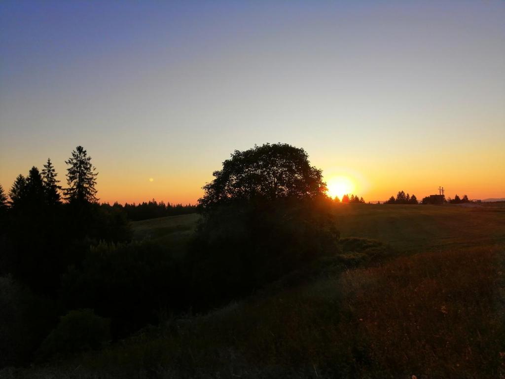a sunset in a field with a tree in the foreground at Tarin zov in Kaludjerske Bare