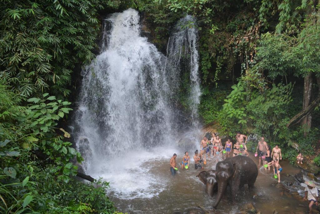 Stamps Backpackers - 4