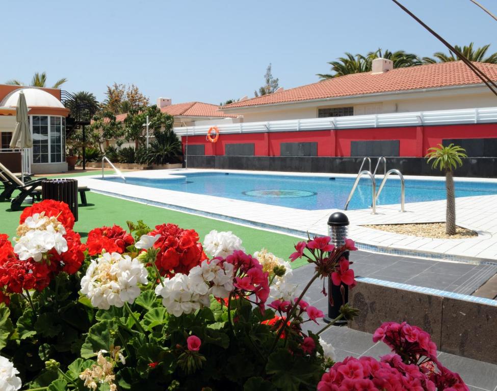 Bazén v ubytování Siesta Suites nebo v jeho okolí