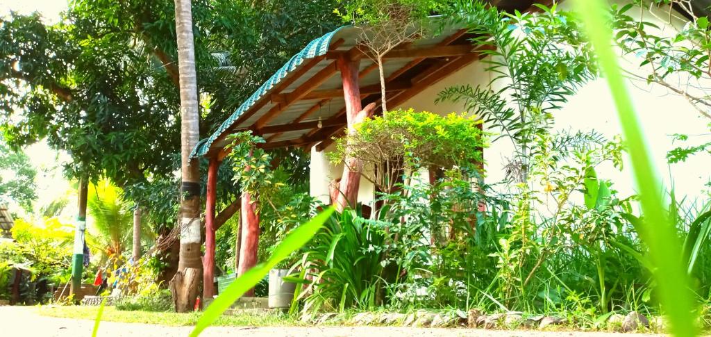 una casa con un montón de plantas delante de ella en Sigiri Picaso Home Stay, en Sigiriya