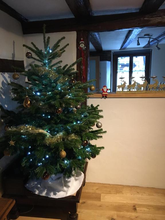 Huna’gîte – photo 30