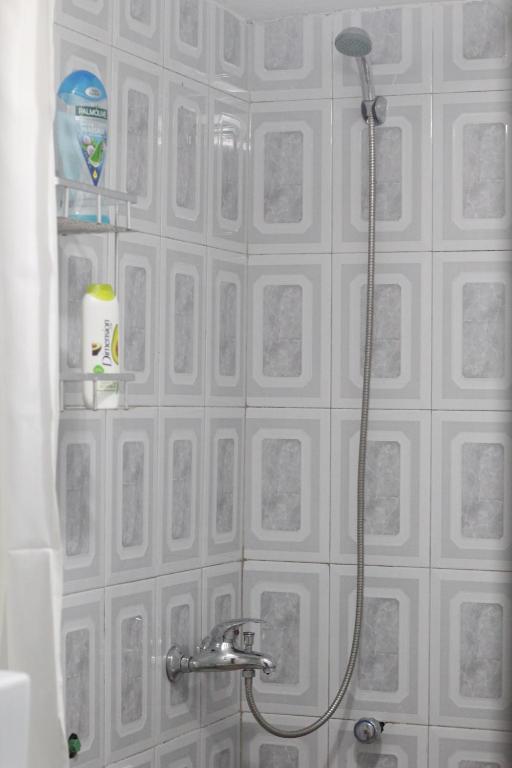 bagno con doccia e parete piastrellata di Tufina Hostel a Tirana