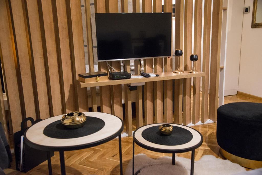 Televiisor ja/või meelelahutuskeskus majutusasutuses Royal Apartment