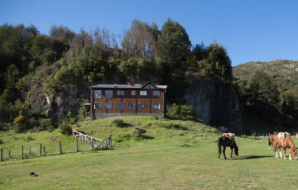 Zvířata v hostelu nebo okolí