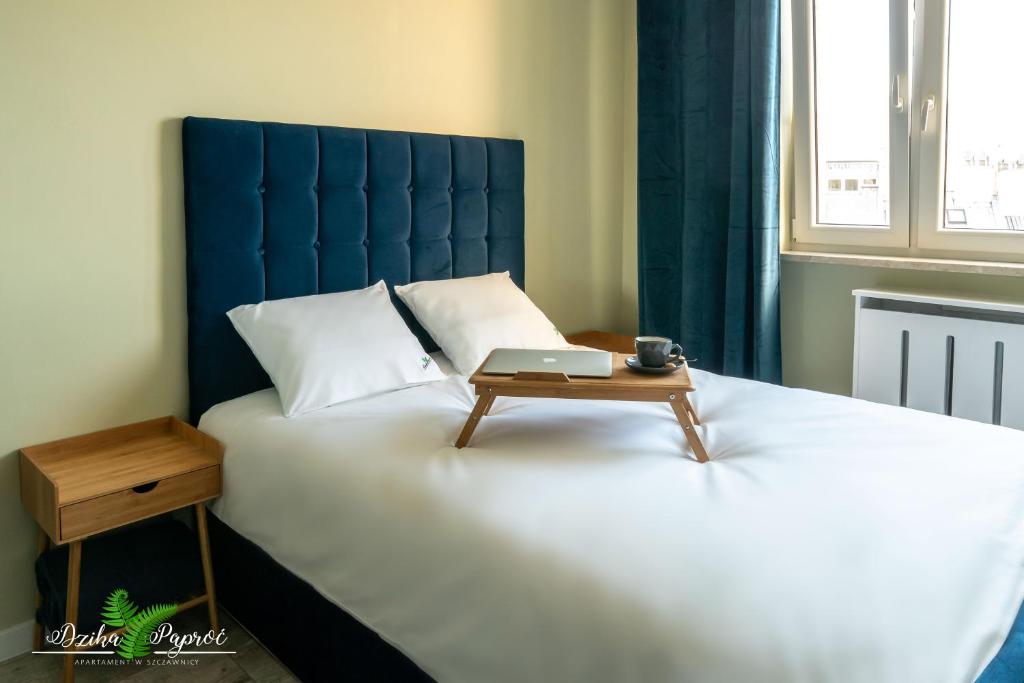Postel nebo postele na pokoji v ubytování Apartament Dzika Paproć