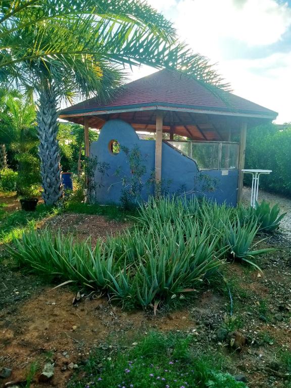 Zahrada ubytování Red Palm Village