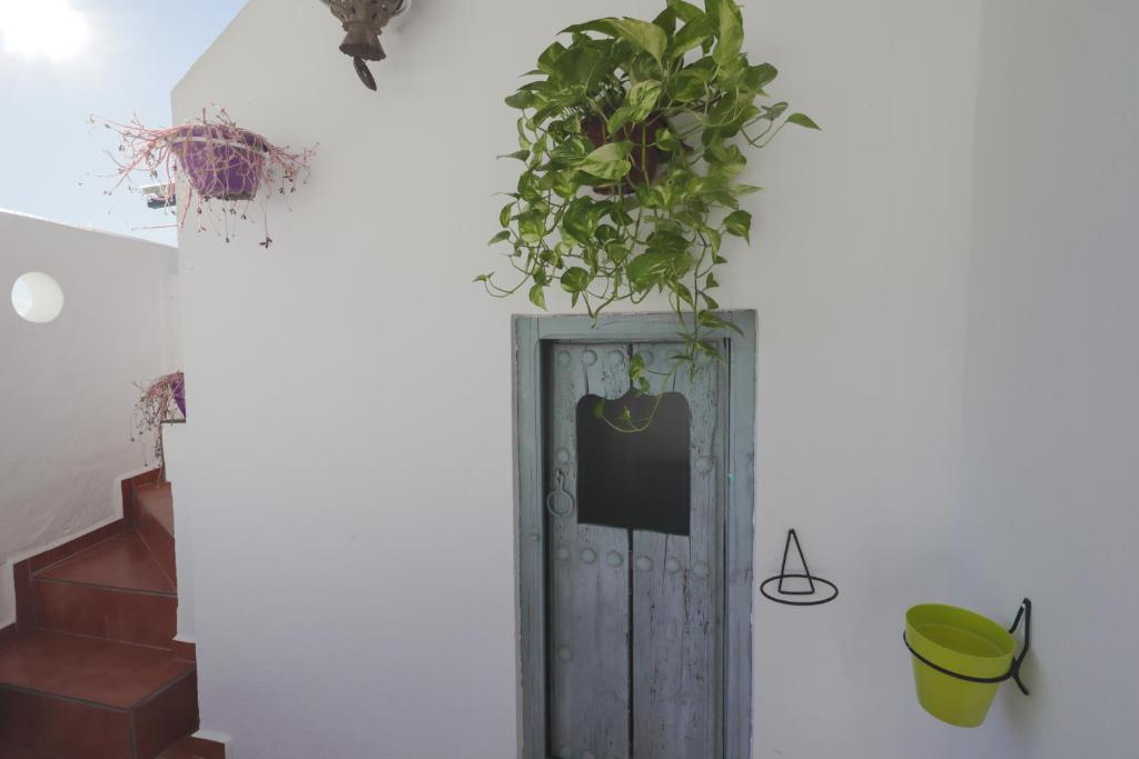 Fotografie z fotogalerie ubytování Casa Hadriano v destinaci Cómpeta