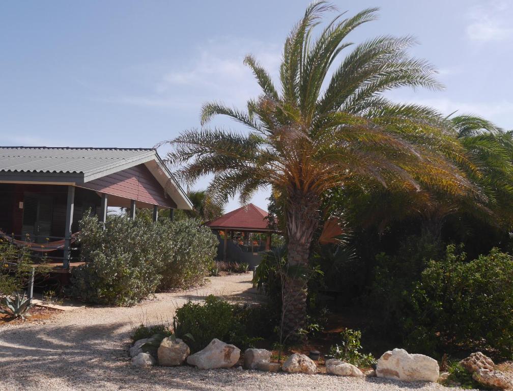 Zahrada ubytování Red Palm Village