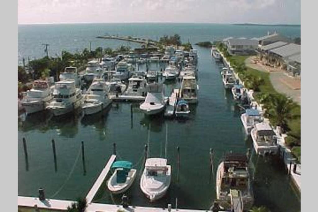 a bunch of boats are docked in a harbor at LICENSED MGR - 2/2 VILLA - OCEANFRONT BEACH RESORT - SALTWATER LAGOON & MARINA! in Key Largo