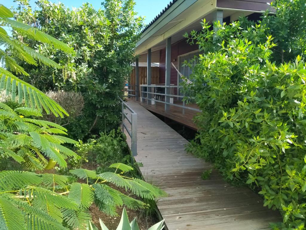 Zahrada ubytování Red Palm Village