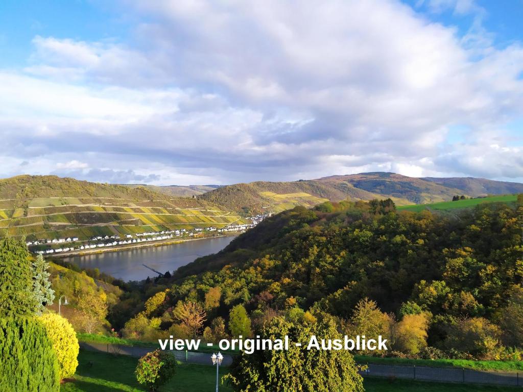 eine Luftansicht auf einen Fluss und eine Brücke in der Unterkunft Schau-Rhein#1 - On top of Bacharach, Rhineview in Bacharach