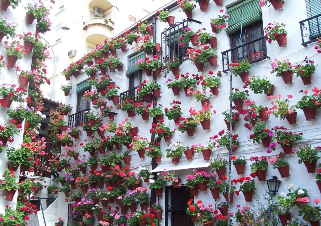 Apartaluz Balcon Centro Ciudad Arqueologico, Córdoba ...