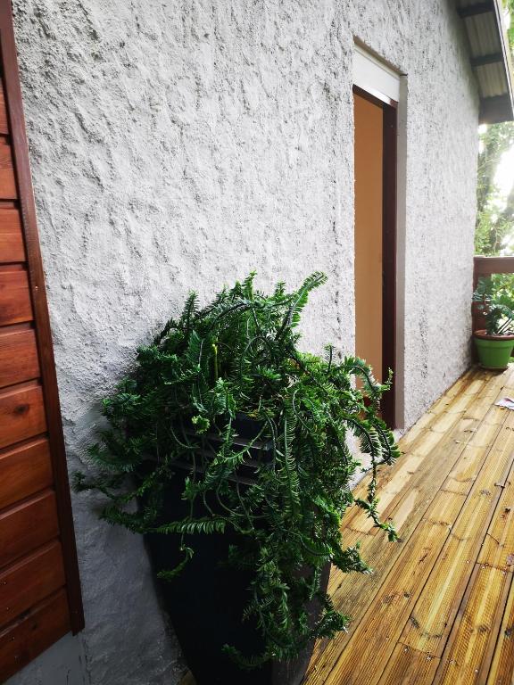 Fotografie z fotogalerie ubytování Bungalow Maelie v destinaci La Trinité