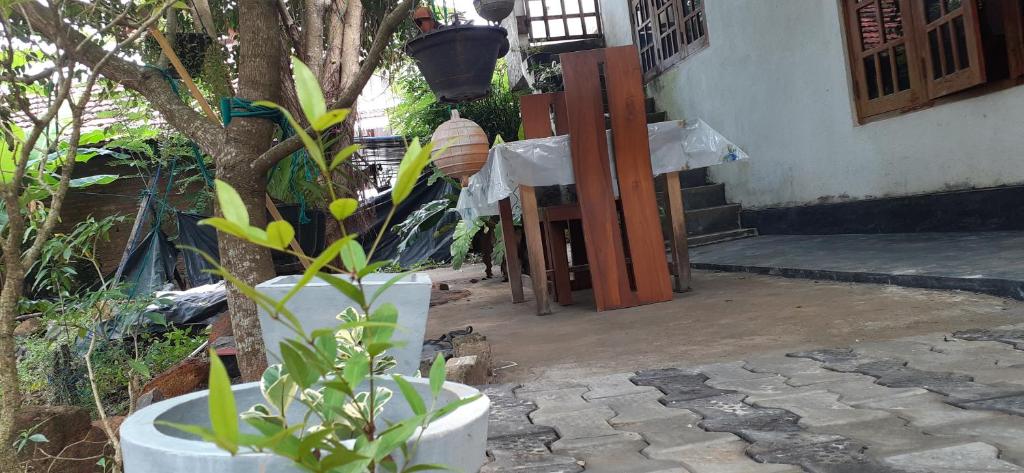 Zahrada ubytování Bisandu guesthouse