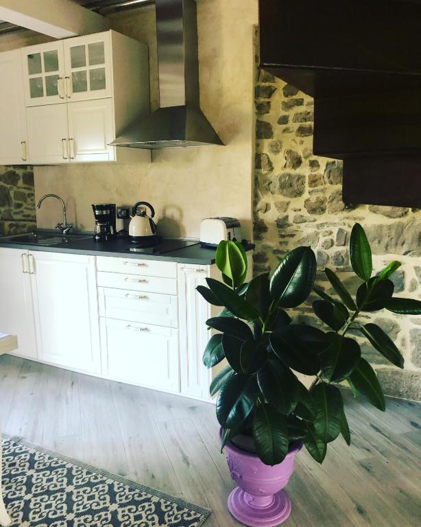 Kuchyň nebo kuchyňský kout v ubytování Iris Country House