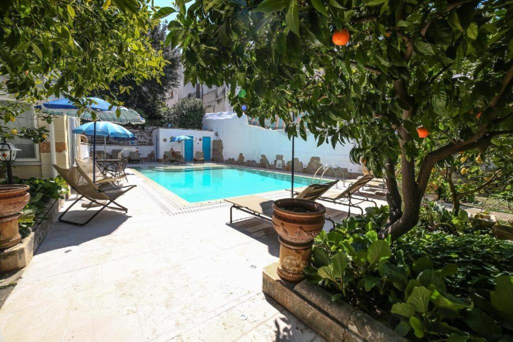 ein Pool mit Stühlen und ein Orangenbaum daneben in der Unterkunft Palazzo Altavilla in Ostuni