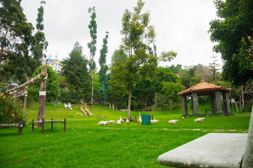 Zahrada ubytování Hotel Kodai International