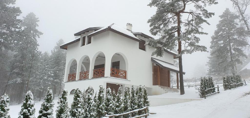 Vila ANA v zimě