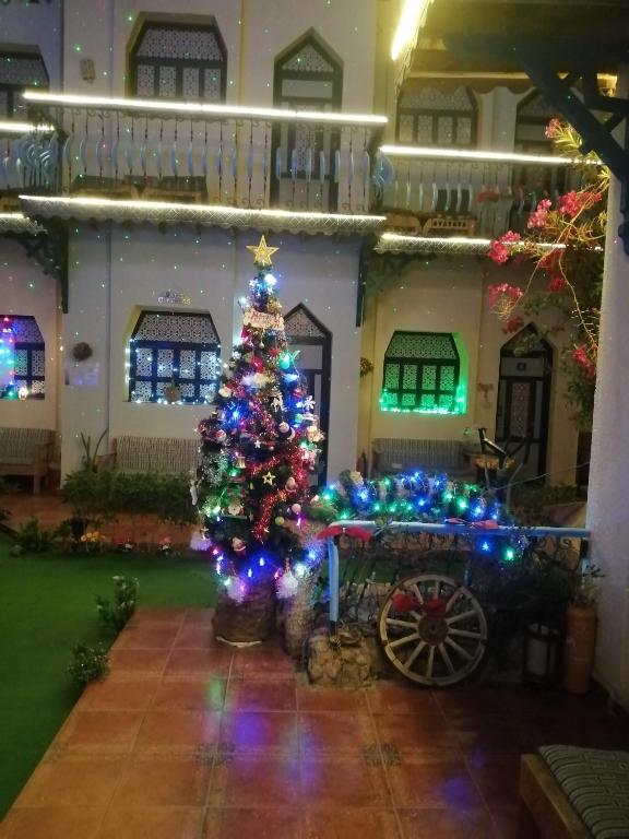 Fotografie z fotogalerie ubytování Monica Hotel v destinaci Dahab