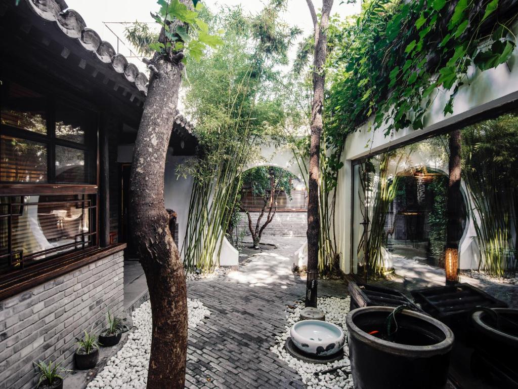 a courtyard with a tree and some potted plants at The Orchid Hotel - Old Town & Drum Tower in Beijing