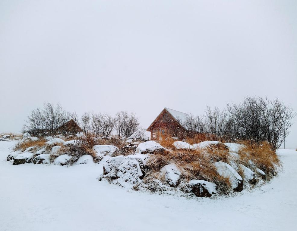 Hestasport Cottages v zimě