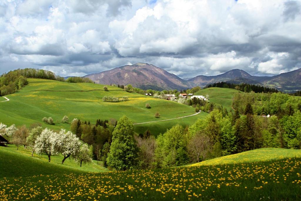 a green field with flowers and trees and mountains at Tourist Farm Ljubica in Poljane nad Škofjo Loko