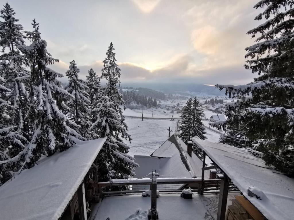 a snow covered roof of a house with trees at Vikendica A Vlasic in Vlasic