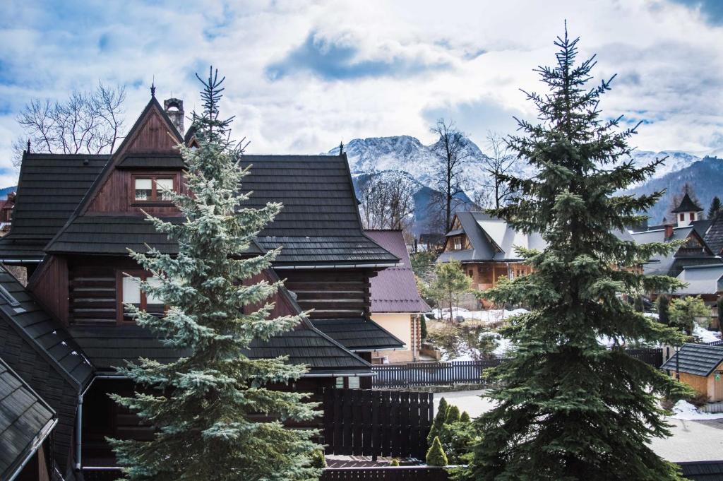 a house with two christmas trees in front of it at Pensjonat Jastrzębia Turnia in Zakopane